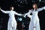日向坂46「4周年記念MEMORIAL LIVE ～4回目のひな誕祭～」の様子。（撮影：上山陽介）