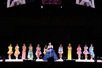 つばきファクトリー