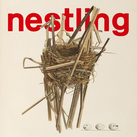 KIRINJI「nestling」配信ジャケット