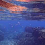 SAI「2022」配信ジャケット