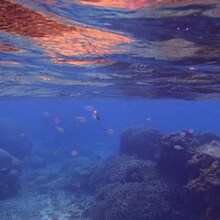 SAI「2022」配信ジャケット