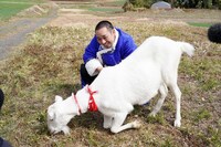 「ヤギと大悟」より。(c)テレビ東京