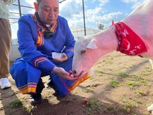 「ヤギと大悟」より。(c)テレビ東京