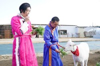 「ヤギと大悟」より。(c)テレビ東京