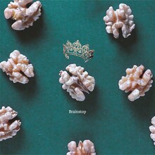 SAGOSAID「Brainstop」配信ジャケット