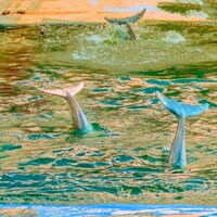 空間現代「Tracks」配信ジャケット