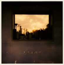 Aimer「あてもなく」通常盤ジャケット