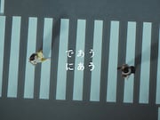niko and ...新ブランドムービーのワンシーン。