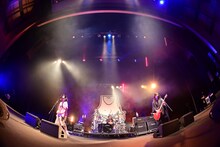 ヤバイTシャツ屋さん「"Tank-top Flower for Friends" ONE-MAN HALL TOUR 2023」2023年4月7日公演の様子。