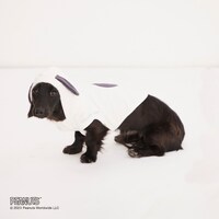 「PEANUTS meets GELATO PIQUE」のアイテム。(c)2023 Peanuts Worldwide LLC