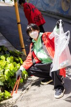 桜木雅哉（原因は自分にある。）