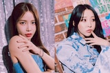 MAMAMOO+