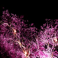 神はサイコロを振らない「修羅の巷」配信ジャケット