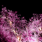 神はサイコロを振らない「修羅の巷」配信ジャケット