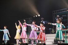 パンダドラゴン（写真提供：株式会社DD）