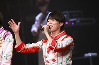 ぱっち（写真提供：株式会社DD）