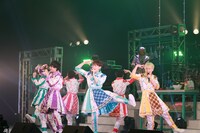 パンダドラゴン（写真提供：株式会社DD）