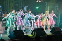 パンダドラゴン（写真提供：株式会社DD）