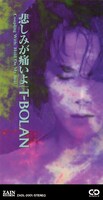 T-BOLAN「悲しみが痛いよ」ジャケット