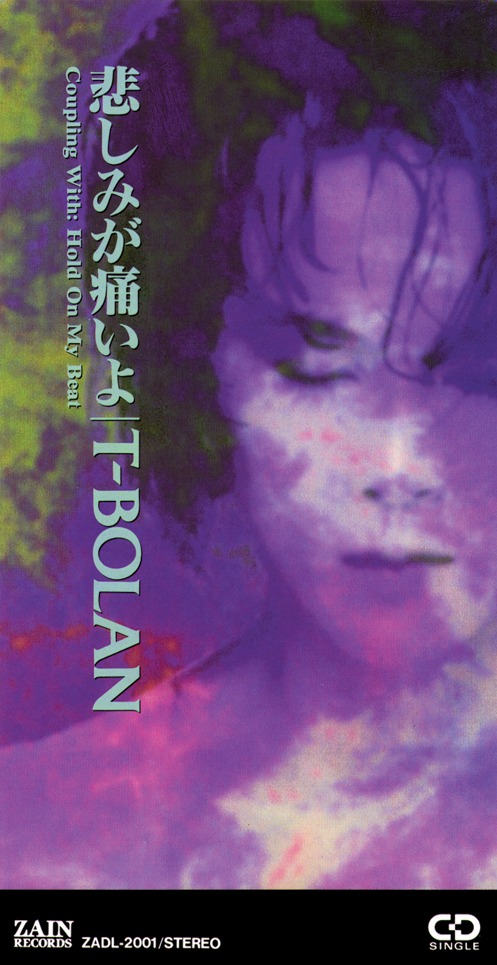 T-BOLAN「悲しみが痛いよ」ジャケット