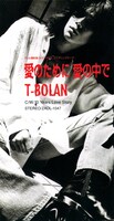 T-BOLAN「愛のために 愛の中で」ジャケット