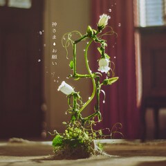 あさぎーにょ音楽プロジェクト・Sunny Sunnyが新曲リリース、今夜MV公開