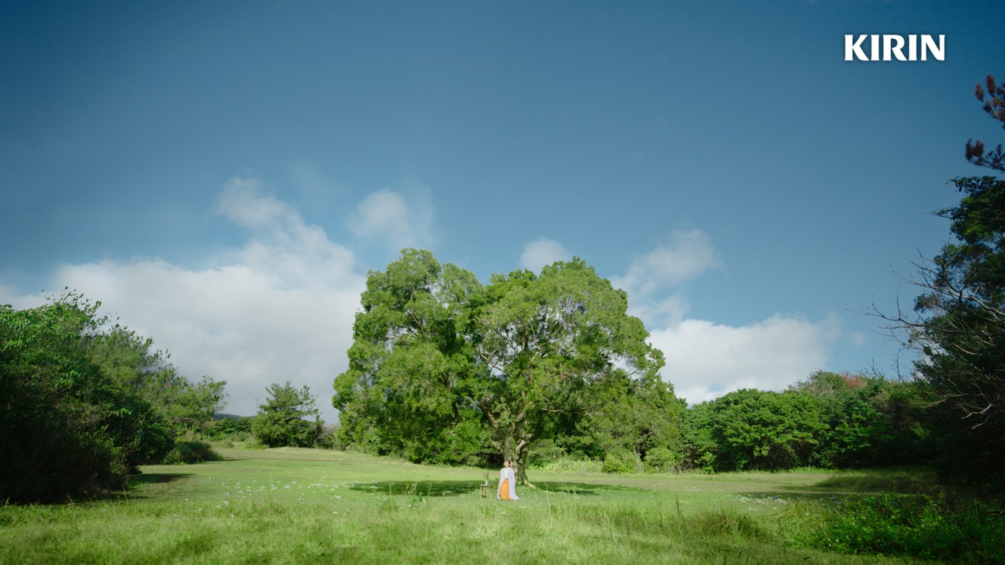 「淡麗グリーンラベル」の新テレビCM「半袖とグリーンラベル篇」より。