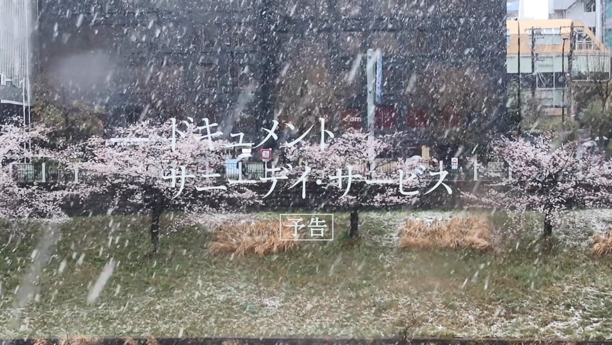 サニーデイ・サービス、関係者の証言とライブシーンで構成した初のドキュメンタリー映画予告公開