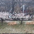 サニーデイ・サービス、関係者の証言とライブシーンで構成した初のドキュメンタリー映画予告公開