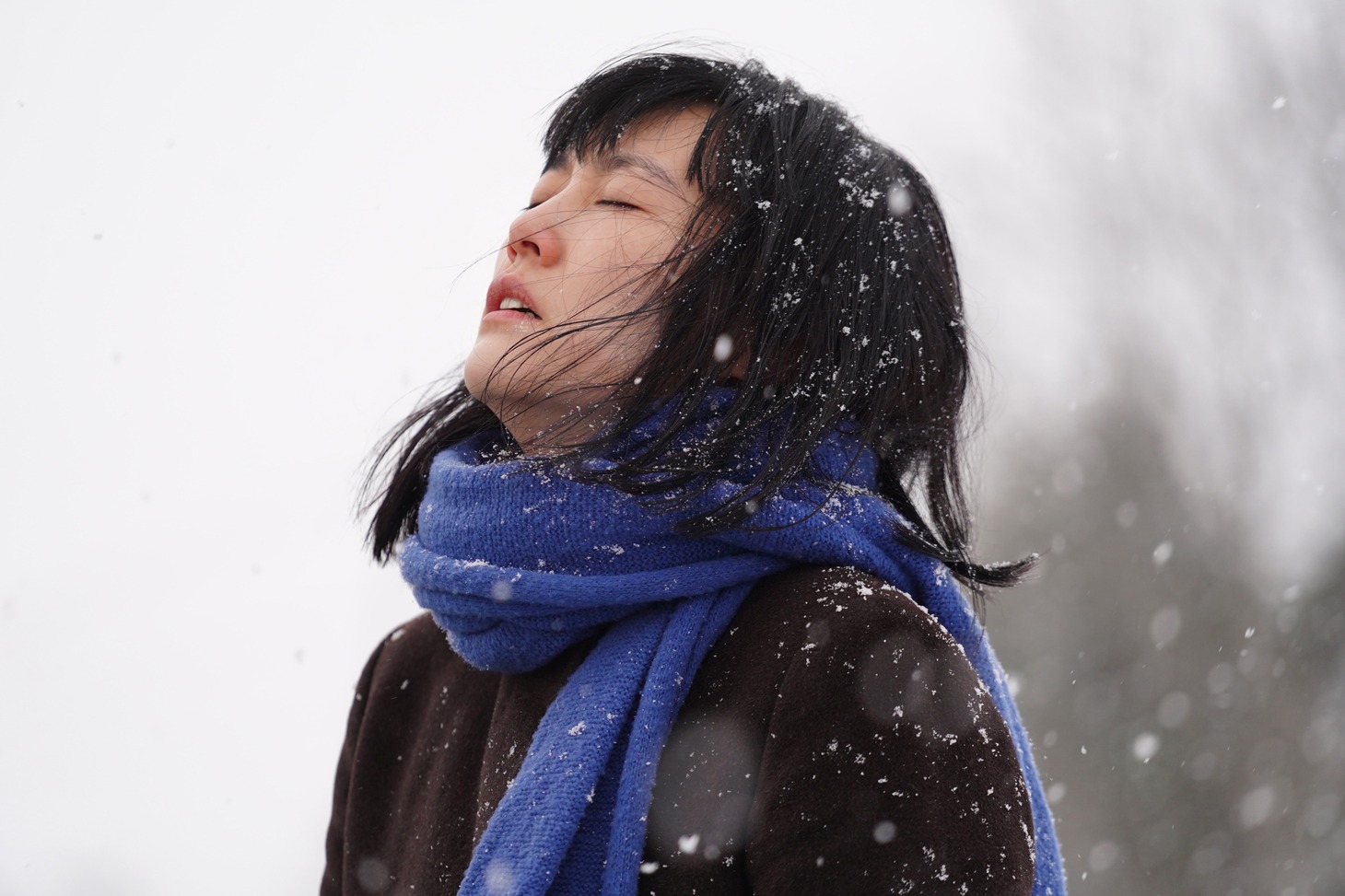 「658km、陽子の旅」より。