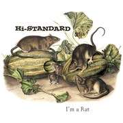 Hi-STANDARD「I'm a Rat」アナログジャケット
