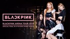 BLACKPINKライブをU-NEXTで独占配信、来日公演のチケットが当たるキャンペーン実施中