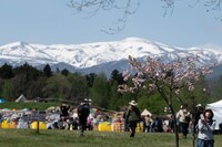 過去開催「ARABAKI ROCK FEST」の様子。