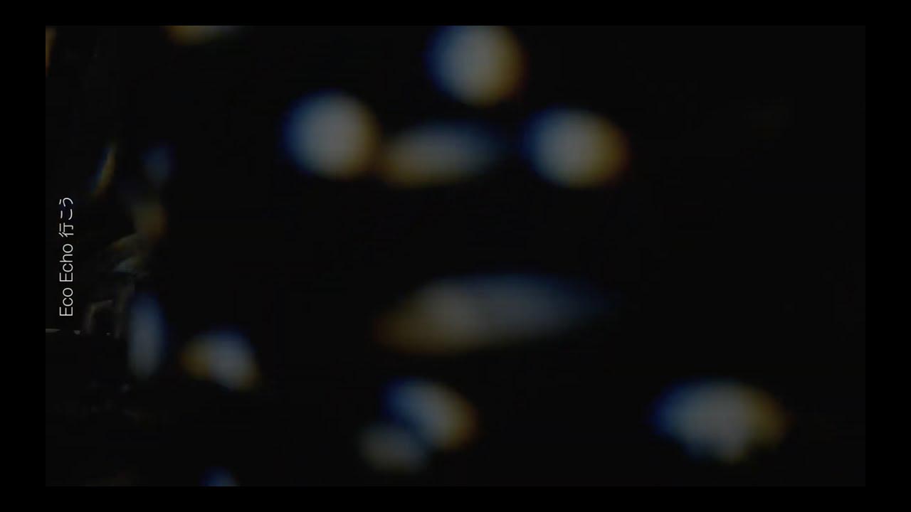 蓮沼執太フィル「Eco Echo」スタジオライブ映像より。