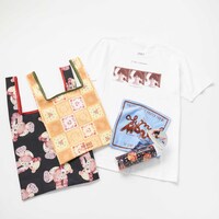 森尾由美のオリジナルグッズ集合写真。