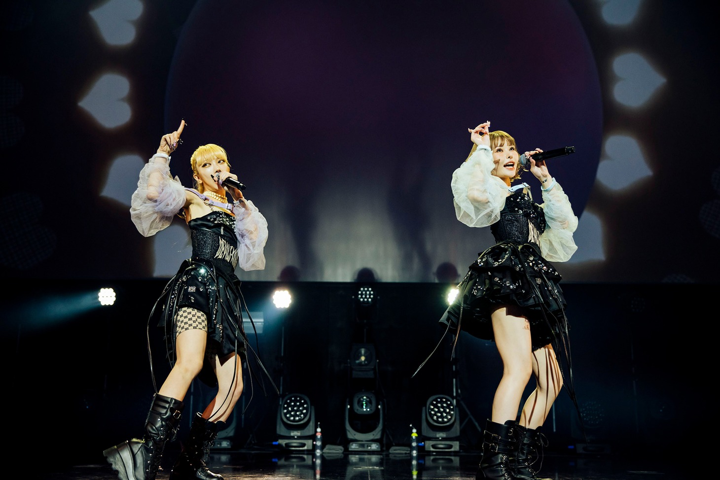 悪魔のキッス（Photo by yokoyama masato）