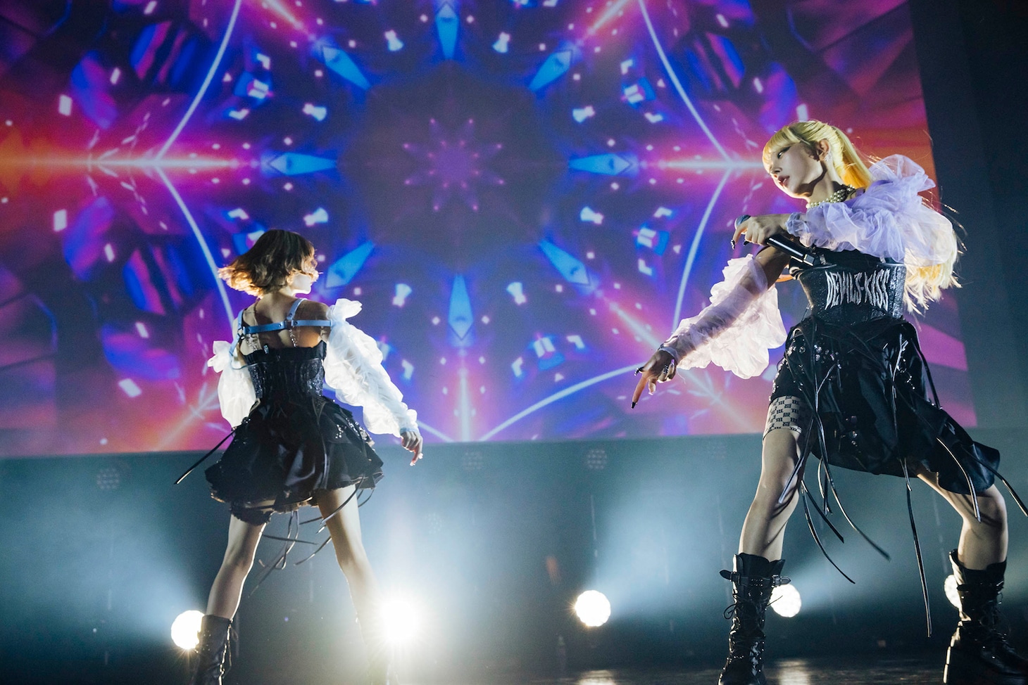 悪魔のキッス（Photo by yokoyama masato）
