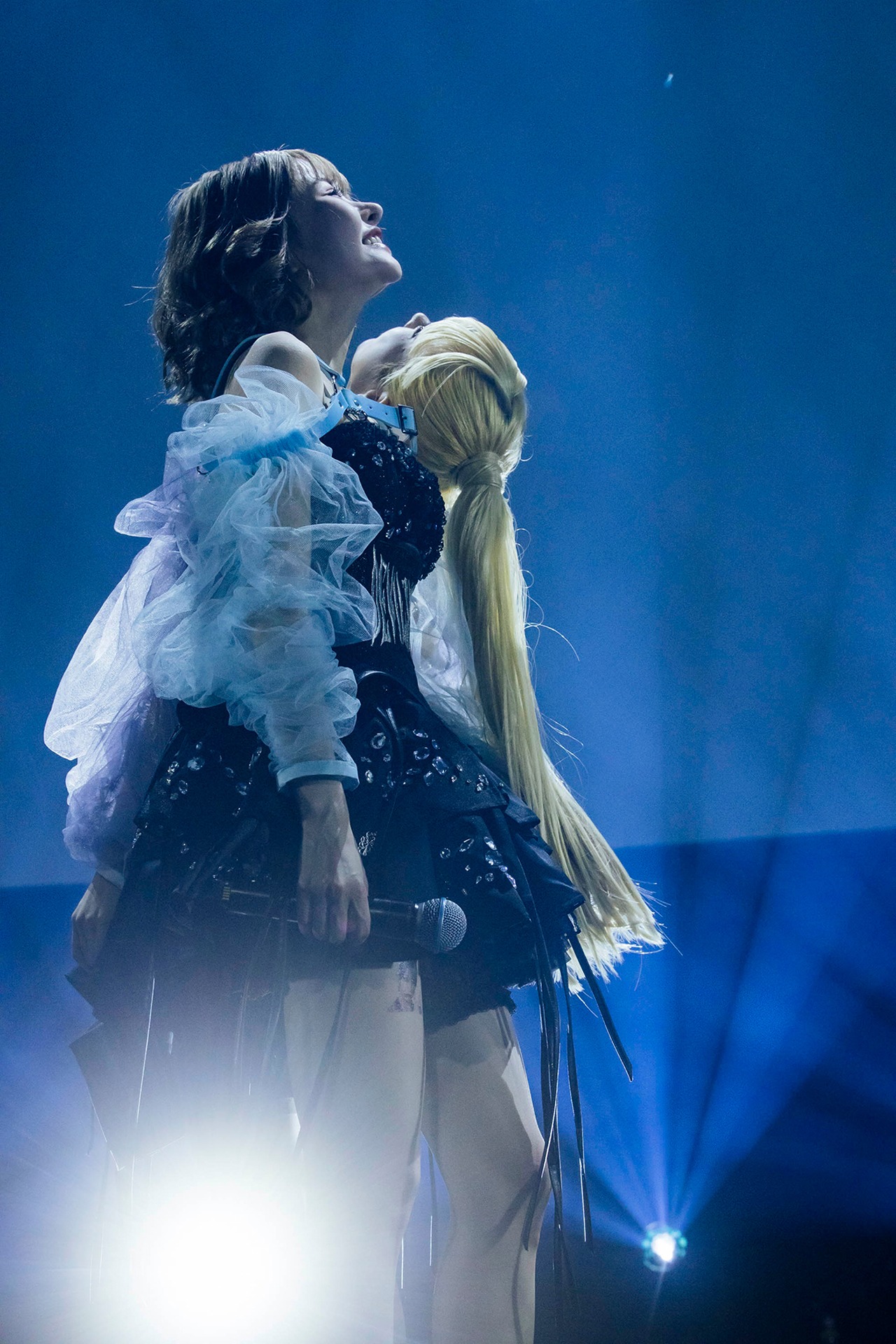 悪魔のキッス（Photo by yokoyama masato）