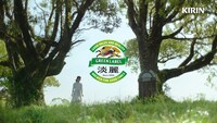 「淡麗グリーンラベル」テレビCM「GREEN JUKEBOX 居篇」より。