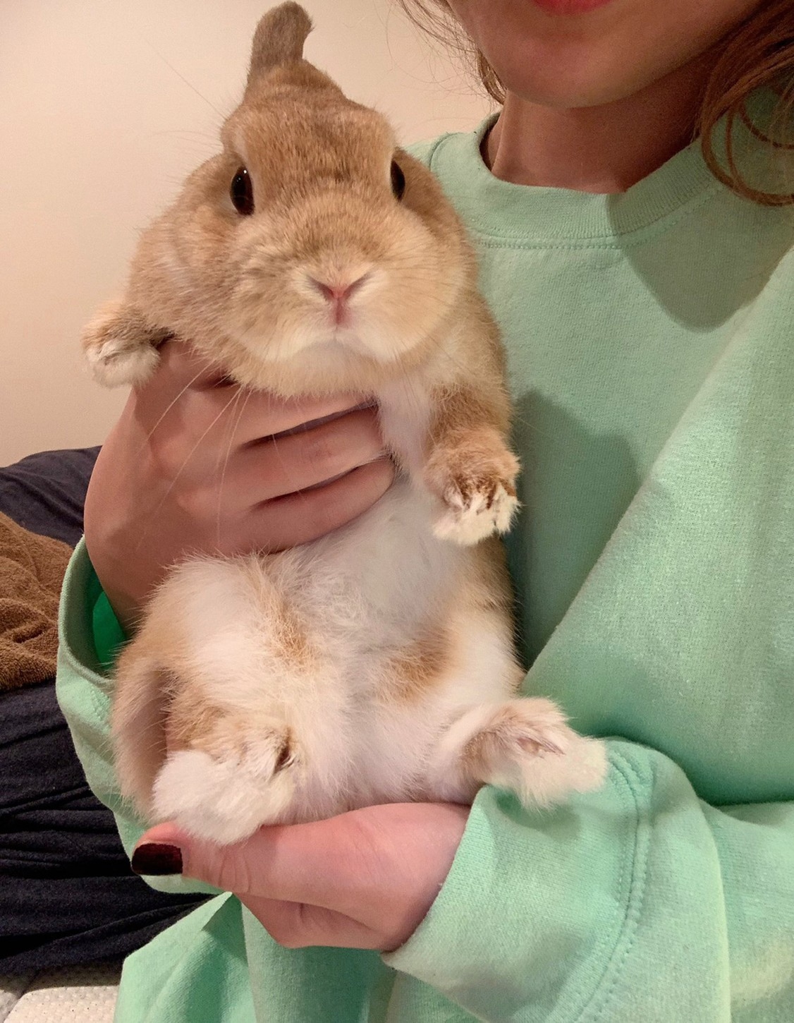 MACOに抱っこされたドワフちゃんの無防備な姿。