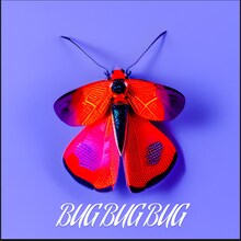 bugbugbug