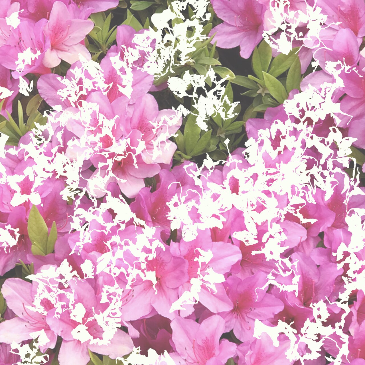 憂鬱になりがちなこの時期のちょっとしたお守りに、一寸先闇バンドの「五月病」