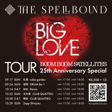 「BIG LOVE TOUR -BOOM BOOM SATELLITES 25th Anniversary Special-」ビジュアル