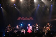 halca「LAWSON presents halca first tour 2023 “nolca solca culca”」東京・Spotify O-WEST公演の様子。