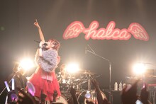 halca「LAWSON presents halca first tour 2023 “nolca solca culca”」東京・Spotify O-WEST公演の様子。