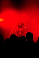 Furui Riho（Photo by tatsuki nakata）