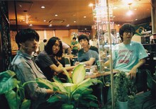 2012年当時のシャムキャッツ。