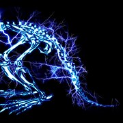 SUPER BEAVER「儚くない」ジャケット