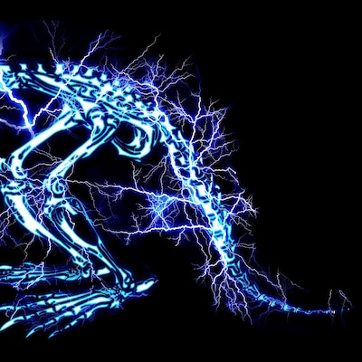 SUPER BEAVER「儚くない」ジャケット