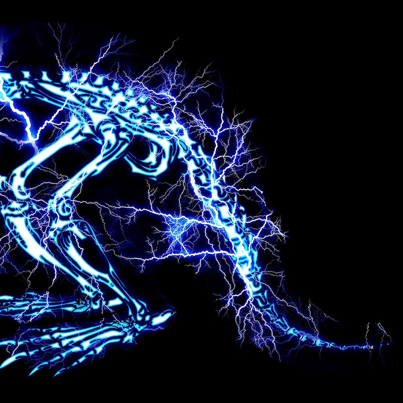 SUPER BEAVER「儚くない」ジャケット